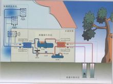 恒溫泳池 